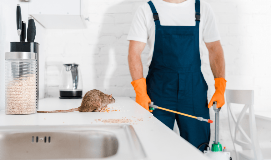 Grady's Pest Control